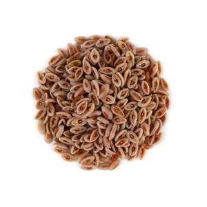 Orgánica cáscara de psyllium 98% suplemento de fibra natural a granel directo de fábrica al por mayor de La India - Product Image 5