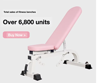 Banc de musculation professionnel réglable, chaise de fitness réglable, banc d'haltères réglable, équipement de fitness à domicile, chaise de fitness rose
