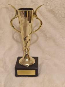 Premio Trofeo de Oro-Grabado personalizado-Inserto personalizado - Product Image 2