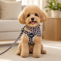 Ensemble Harnais et Laisse pour Chien à Imprimé Léopard Personnalisé en Gros – Harnais Réglable pour Animaux de Compagnie avec Collier et Accessoires pour Chiens