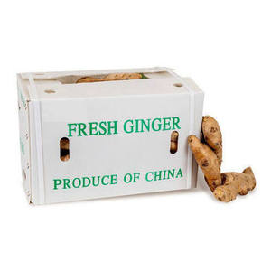 Jengibre fresco disponible para la venta en grandes cantidades para importadores globales de alimentos y productos agrícolas. En venta. - Product Image 2