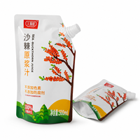 Pochette souple personnalisée de 500 ml avec bec verseur et bouchon, anti-fuite, pour jus et boissons liquides