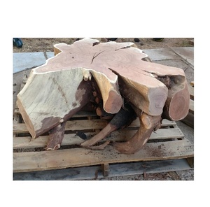 ลูกไม้วอลนัทสีดำคุณภาพพรีเมี่ยมเหมาะสำหรับโครงการภูมิทัศน์และความงามตามธรรมชาติ - Product Image 3