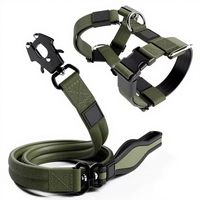 Collier et laisse tactiques pour chien, résistants, testés sous pression, avec boucle en métal classique, rembourrés en mousse solide, doublés en néoprène, avec poignée souple