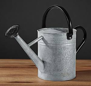 Arrosoir en acier galvanisé en métal blanc avec bec amovible pour le jardinage de plantes d'intérieur et d'extérieur - Product Image 1