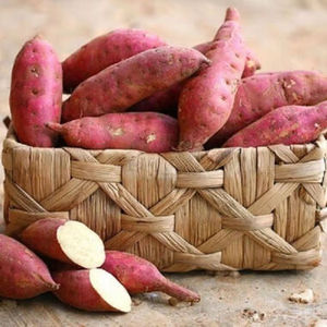 Supplier <b>Fresh</b> New Crop <b>Vegetables</b> Wholesale Potato <b>Fresh</b> Prices in China for Export <b>Fresh</b> Potatoes - Product Image 4