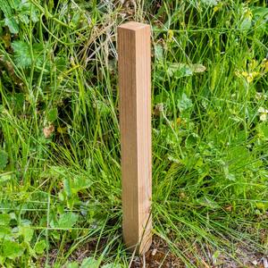 Poteaux de piquet en bois en gros poteau en bois avec extrémité pointue pour filet de jardin et plantation de piquets en bois dur - Product Image 2