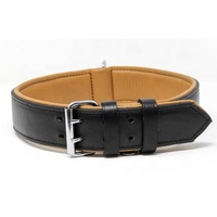 Collier de chien personnalisé de luxe en cuir véritable bleu solide avec rembourrage souple pour petits chiens de taille moyenne collier pour animaux de compagnie personnalisé