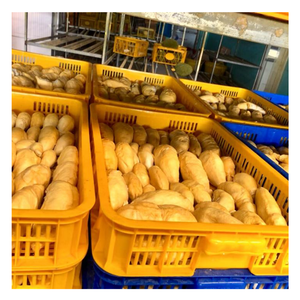 Iqf ทุเรียนแช่แข็งจากเวียดนาม-ส่วนผสมของหวานแปลกใหม่-อุดมไปด้วยรสชาติและกลิ่นหอมด้วย99ข้อมูลทอง - Product Image 1