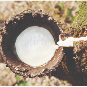 LATEX DE CAOUTCHOUC NATUREL/FORT ET ÉLASTIQUE/FABRIQUÉ AU VIETNAM - Product Image 4
