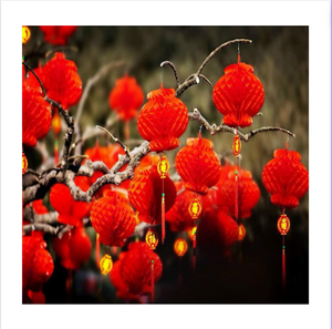 โคมไฟฤดูร้อนเทรนด์ร้อนใช้ดีที่สุดสําหรับตกแต่งกิจกรรม - ราคาถูกไม่แพงโคมกระดาษสีสันสดใสผลิตในเวียดนาม - Product Image 3