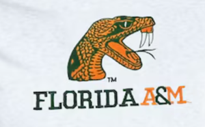 Pull-over et sweat à capuche unisexe de qualité supérieure FAMU Florida A & M University Apparel for Men and Women Winter Styles - Product Image 2