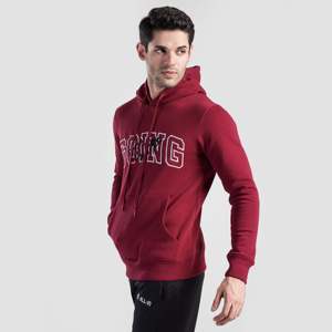 เสื้อฮู้ด GAI Aventus Burgundy Winter ผ้าฝ้าย 100% เฟรนช์เทอร์รี่ ไซส์ XXS ถึง 6XL ป้ายยี่ห้อสั่งทำได้ สตรีทแวร์ พิมพ์ลายซิลค์สกรีน - Product Image 3