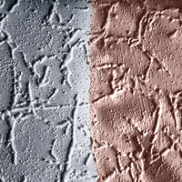 Peinture acrylique d'intérieur de haute qualité fabriquée en Allemagne, marron rose, écologique, lavable, revêtement liquide pour meubles, finition lisse