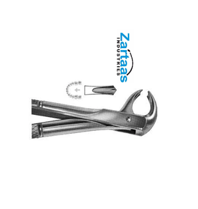 Pince d'extraction en acier inoxydable de haute qualité molaires inférieures fig 73S exportateurs et fabricant - Product Image 6