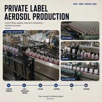 Spray Nano Imperméabilisant OEM Marque Privée pour Chaussures, Baskets, Tissus et Équipements d'Extérieur – Anti-Eau et Anti-Taches en Aérosol 300ml