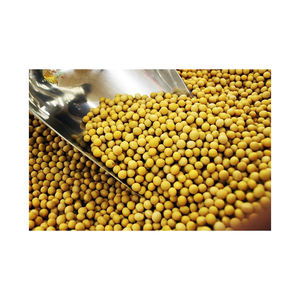 Soja de alto nivel, producto agrícola al por mayor, grano de soja sin OGM de alta proteína para alimentos saludables, soja cruda - Product Image 3