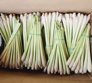 สมุนไพรตะไคร้สดสำหรับปรุงแต่งรสชาและปรุงอาหารใช้ในเวียดนาม - Product Image 1