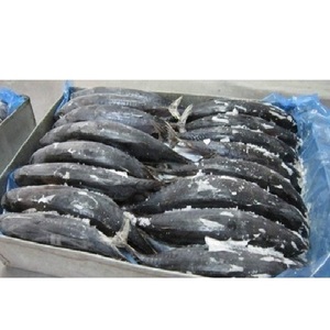 Filete de Atún Congelado de Alta Calidad / Proveedor de Mariscos - Product Image 2