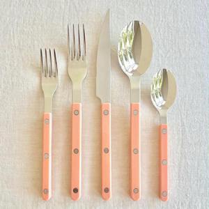 Elegant American Style Sustainable Stainless Steel Flatware Set with Resin Handles 4 Pcs Cutlery Set for Restaurant - Product Image 2