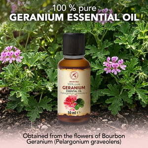 Huile Essentielle de Géranium Parfumé Aromatika 50ml 100% Pure Naturelle Feuilles Séchées Distillées à la Vapeur Aromathérapie Florale - Product Image 1