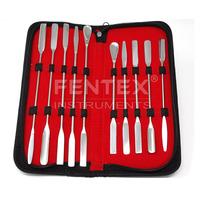 FENTEX Ensemble de 10 spatules de laboratoire micro en acier inoxydable 18/8, double extrémité, polyvalentes, cuillère carrée et extrémité conique en forme de flèche, 7"+9", OEM