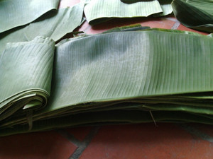 New Arrival Vietnam Frozen <b>Banana</b> Leaf High Quality <b>Fresh</b> Green Leaf for Food Wrapping and Export Market - Product Image 4