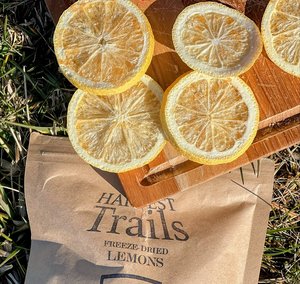 RUEDA DE LIMÓN TROPICAL/INGREDIENTES LIMPIOS/RESPETUOSO INMUNE/FUENTE NATURAL - Product Image 6