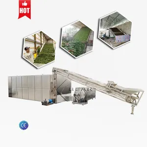 Dried fruits and vegetables materials drying box multi-layer continuous mesh belt dryer