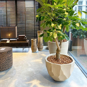 Mua sắm Plaza chậu hoa lớn, Vòng fiberclay <span class=keywords><strong>planter</strong></span> cho trang trí ngoài trời - Product Image 3