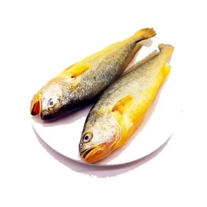 Poisson jaune du Mexique de haute qualité, poisson jaune congelé, prix - Product Image 5