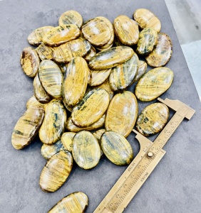 พลอยเนลไลท์สีเหลืองและเทารูปร่างผสมอัญมณีหลวมสำหรับเครื่องประดับอัญมณี nellite pietersite - Product Image 3