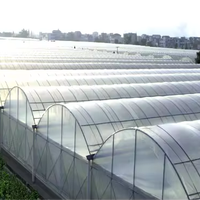 Serre à film multi-travées agricole Système de refroidissement hydroponique complet Nft Système de chauffage