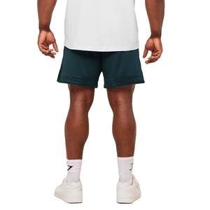 Pantalones Cortos Deportivos Transpirables de Malla para Hombre, Ligeros, de Secado Rápido, para Baloncesto, Gimnasio, Entrenamiento, Cintura Elástica, para Correr, Fitness - Product Image 3