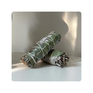 Wholesale 4 Inch White <b>Sage</b> Smudge <b>Sticks</b> 100% Natural Eco-Friendly for Aromatic Cleansing Meditation Aromatherapy - Product Image 6
