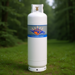 Cylindre GPL de 60 LBS avec valve POL par Flame King YSN60LB - Product Image 3