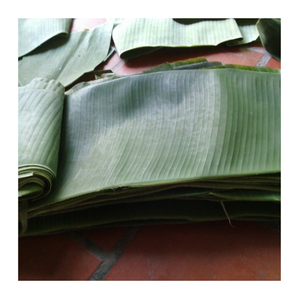 Hojas de plátano congeladas-Hojas de envoltura de hoja de plátano 100% naturales frescas para exportación internacional y uso en la industria alimentaria - Product Image 5