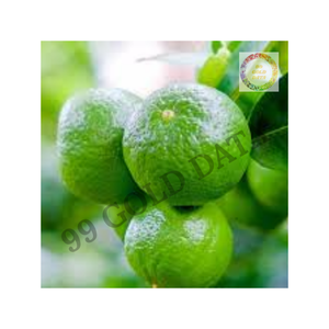 Limes fraîches juteuses avec surface brillante et longue durée de conservation parfaites pour les restaurants à usage culinaire et la transformation des aliments - Product Image 5