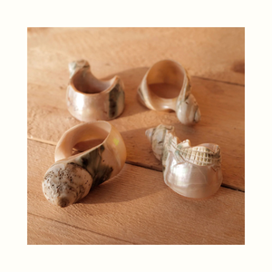 Anillo de Servilleta de Concha Natural Turbo para Decoración de Mesa y Uso Decorativo - Product Image 1