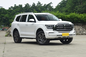 2023 Tuyệt vời tường xe tăng 500 5 chỗ 5 cửa kích thước lớn Điện SUV off-road xe 2.0T AWD xe tăng 300 400 Plug-in Hybrid sử dụng xe - Product Image 4