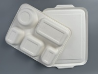 Assiettes rectangles Offre Spéciale à 5 compartiments Plateau alimentaire canne à sucre bagasse