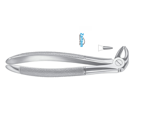 Pinzas de extracción de acero inoxidable de alta calidad No. Fabricante y Exportadores de Premolares Inferiores 13s para Niños - Product Image 2