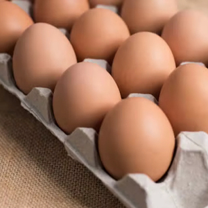 ไข่ไก่สดสีน้ำตาล/ไข่ไก่, ขายในราคาที่ดีที่สุด ไข่ไก่สดสีน้ำตาลจากฟาร์ม - Product Image 1