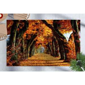 Alfombra Estampada con Paisaje Otoñal - Decoración Inspirada en la Naturaleza, Alfombra Suave No Tejida - Product Image 1