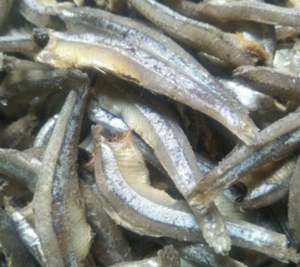 ปลากะตักแห้งปลาสดปลากะตักแห้งคุณภาพดีของปลากะตักแห้งในวันหยุดเวียดนาม - Product Image 2