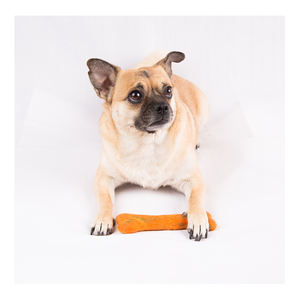 Perro masticable de calidad superior, juguete suave y cómodo para perro, disponible al mejor precio del mercado - Product Image 5