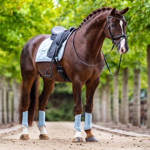 Botas de protección de tendones de caballo con malla, para equitación, equipo ecuestre, herramientas, color gris - Product Image 3