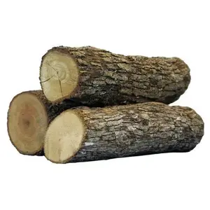 Buona vendita legno duro di quercia tronchi rotondi/legname disponibili