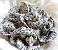 Vietnam Origin Dragon Fruit Voor Groothandelsmarkten Supermarkten En Distributeurs