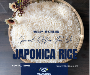 Riz blanc à grains longs biologique JAPONICA, riz sec pour sushi, marque Vilaconic, récolte 2024, usine du Vietnam, WA+84.975..452..493 - Product Image 3